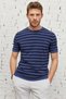 Men's Navy-Indigo Standard Fit Regular Cut Crew Neck Cotton Striped Knitwear T-Shirt - 6