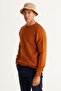 Men's Tile Standard Fit Normal Cut Crew Neck Jacquard Knitwear Sweater - 2