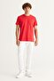 Men's Pomegranate Flower Slim Fit Slim Fit Crew Neck Cotton T-Shirt - 4