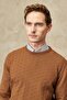 Men's Cinnamon Standard Fit Normal Cut Crew Neck Knitwear Sweater - 2