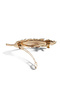 Feather Automatic Buckle Gold - 4