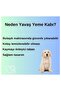 YAVAŞ YEME KABI - 4