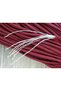 Paracord 550 Type III 4mm 7 Strand 5 Meters Quality Parachute Rope - 2