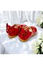 Girls' Red Butterfly-Figured Orthopedic Ballet Flats - 3