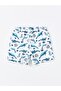 Boy - Quick Dry and UV Protection Swim Shorts