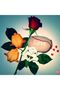 قالب بسكويت طيور الحب - 2