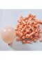 10 Pieces 5 Inch Mini Balloons