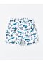 Boy - Quick Dry and UV Protection Swim Shorts - 2