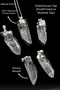 Certified Raw Unprocessed Crystal Quartz Stone Necklace - Brazil