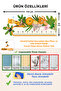 Cute Safari Animals Height Meter and Multi-Purpose Wardrobe Kids Room Wall Sticker Set - 2