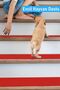 Halifleks Adhesive Base Stair Tread Mat Rip Carpet with Anti-Slip Base / Sold by the Piece - 7