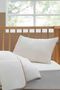 Woozy Baby Pillow - Washable, 100% Cotton and Woolmark Certified
