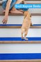 Halifleks Adhesive Based Stair Tread Mat Rip Carpet with Anti-Slip Base - Navy Blue - 7