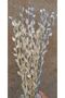 White and Silver Gilding Pearlflower 20 Branches (Dry Flower) - 3