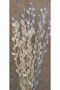 White and Silver Gilding Pearlflower 20 Branches (Dry Flower)