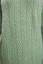 Green Fish Back Print Polo Neck Knitwear Dress Tctaw25Eb00030 - 4