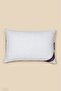 Luxury Aloe Vera Pillow 50x70 Pillow with Aloe Vera