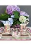 Raduga Porcelain Double Cup Set with Hand Painted Tray