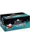 High Heels Tea Infuser - Bag 100*3,2 Gr, 12 Boxes - 2
