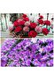 Italian Crapon Paper No:592 - Lilac - Light Lilac 180 Gr50x250 cm - 3