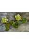 Italian Crapon Paper No:562 - Sage Green - Sage Green 180gr 50x250 Cm - 2