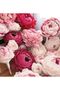 Italian Crapon Paper No:385 - Rose Pink - Rose Quartz 90 Gr50x150cm - 2