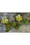 Italian Crapon Paper No:566 - Water Green - Water Green 180 Gr50x250 cm - 3