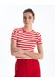 Crew Neck Striped Short Sleeve Women's T-Shirt