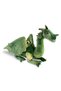 36 cm Green Dragon