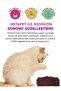 Catnip plush cat toy, organic catnip toys, cat grass mint products - 3