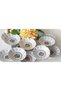 Porcelain Hand Painted Set of 12 Tea Plates - 3