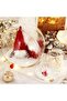 Transparent Mica Globe Ball - Christmas Pine Tree Ornaments - Hangable Plastic Ball - 12 Cm - 3