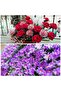 Italian Crapon Paper No:590 - Lilac - Lilac 180 Gr50x250 cm - 3