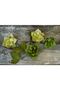 Italian Crapon Paper No:558 - Phosphor Green - Acid Green 180 Gr.50x250 Cm - 5