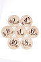 Wooden Memory Cards, Photo Shoot, English Baby Gift - 5
