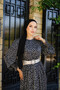 Balon Kol Silvery Chiffon Dress - 3