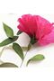 Italian Crapon Paper No:554 - Baby Pink - Baby Pink 180 Gr50x250 cm - 4