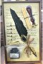 Divit Inkwell Pen Kit Five Headings Candle Feather Ink Seal Stamped Special Vip Box Professional Set - 6