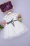 2-4 Years Old Girl's Polka Dot Tulle Short Sleeve Dress