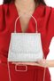Silver Color Full Stone Chain Strap Stylish New Season Women's Evening Dress Porfolio Wedding Clutch Bag - 3