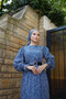 Balon Kol Silvery Chiffon Dress - 3