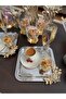 6-Piece Coffee & Tea & Presentation Tray Steel Silver Tray LUXURY STONE Model - 3