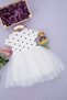 2-4 Years Old Girl's Polka Dot Tulle Short Sleeve Dress - 5
