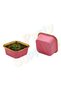 Pink Gold Square Muffin, Cake, Dessert and Ashura Bowl 16 Pieces 8.5x8.5 cm