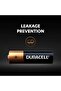 Type AA Alkaline Batteries, pack of 12 - 5