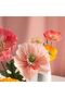 Italian Crapon Paper No:17a5 - Peach - Peach 180 Gr50x250 cm - 3