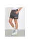 EXPLORER SHORT Erkek Şort 4241408 - 4