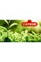 Camellia Black Bulk Tea 1 kg 6 Pieces - 3