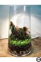 Delizli Handcrafted 27 cm Aquarium Handcrafted Cylinder Vase Trape Ps27 - 3