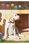 6-Pack Colorful Paw Stickers - 4
